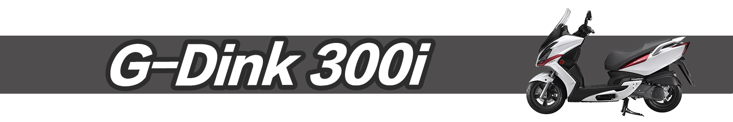 G-Dink 300i