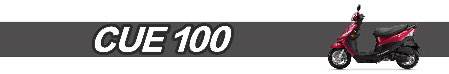 CUE 100