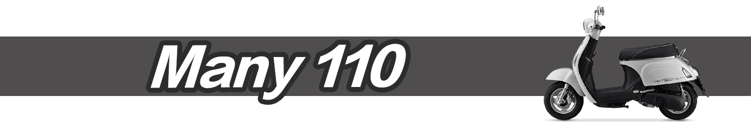 Many 110